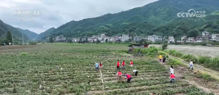 
中山大学中山眼科中心黄牛代挂号电话票贩子号贩子网上预约挂号,住院检查加快,受灾地区迅速开展灾后重建工作 群众生产生活秩序有序恢复