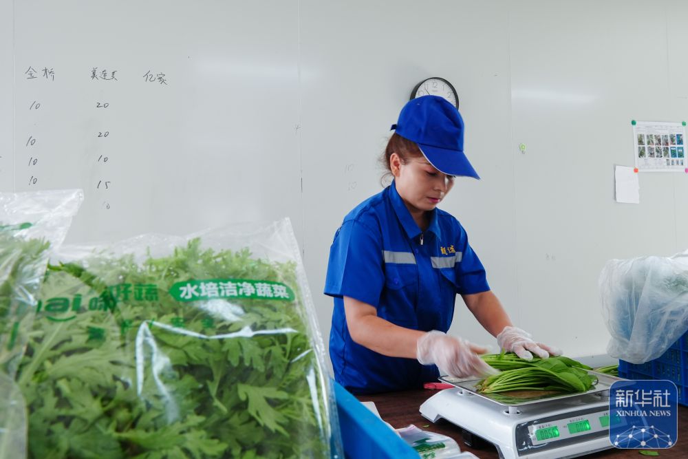 
北京各大医院黄牛代挂号电话票贩子号贩子网上预约挂号,住院检查加快,对口援疆助力戈壁兴建智慧农业植物工厂