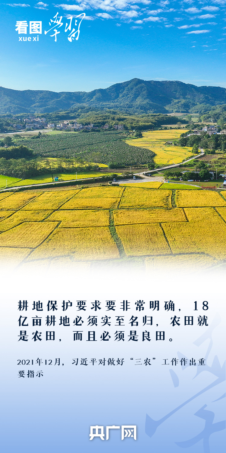 
长沙各大医院黄牛代挂号电话票贩子号贩子网上预约挂号,住院检查加快,看图学习丨“守住耕地这个命根子” 总书记心系耕地保护
