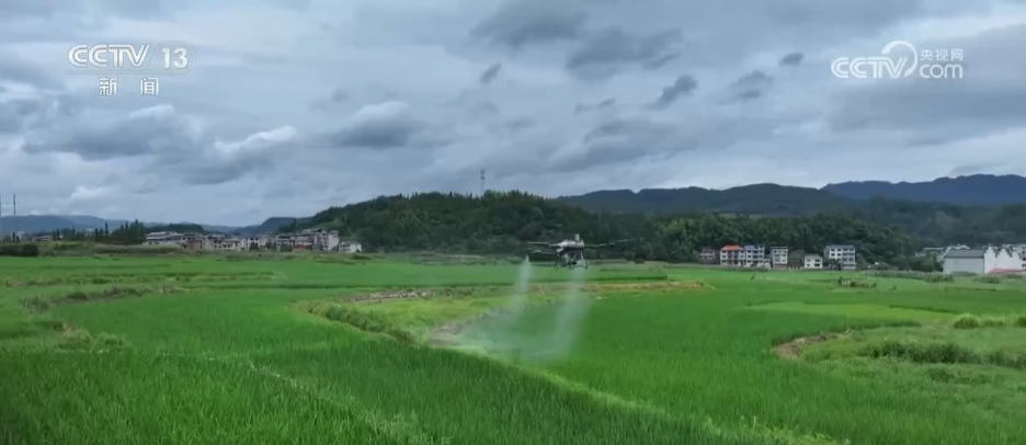 
中山大学中山眼科中心黄牛代挂号电话票贩子号贩子网上预约挂号,住院检查加快,受灾地区迅速开展灾后重建工作 群众生产生活秩序有序恢复
