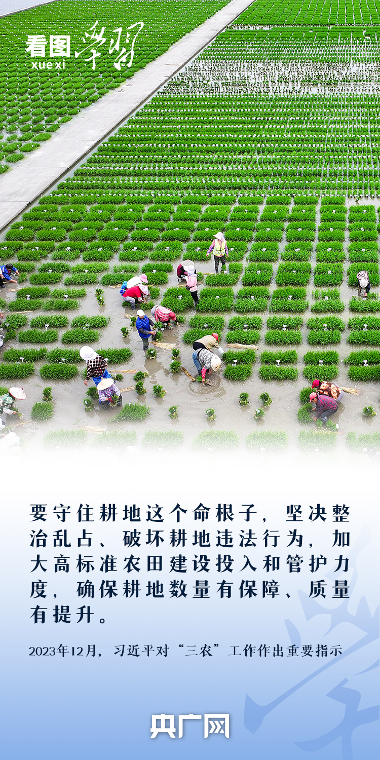 
长沙各大医院黄牛代挂号电话票贩子号贩子网上预约挂号,住院检查加快,看图学习丨“守住耕地这个命根子” 总书记心系耕地保护