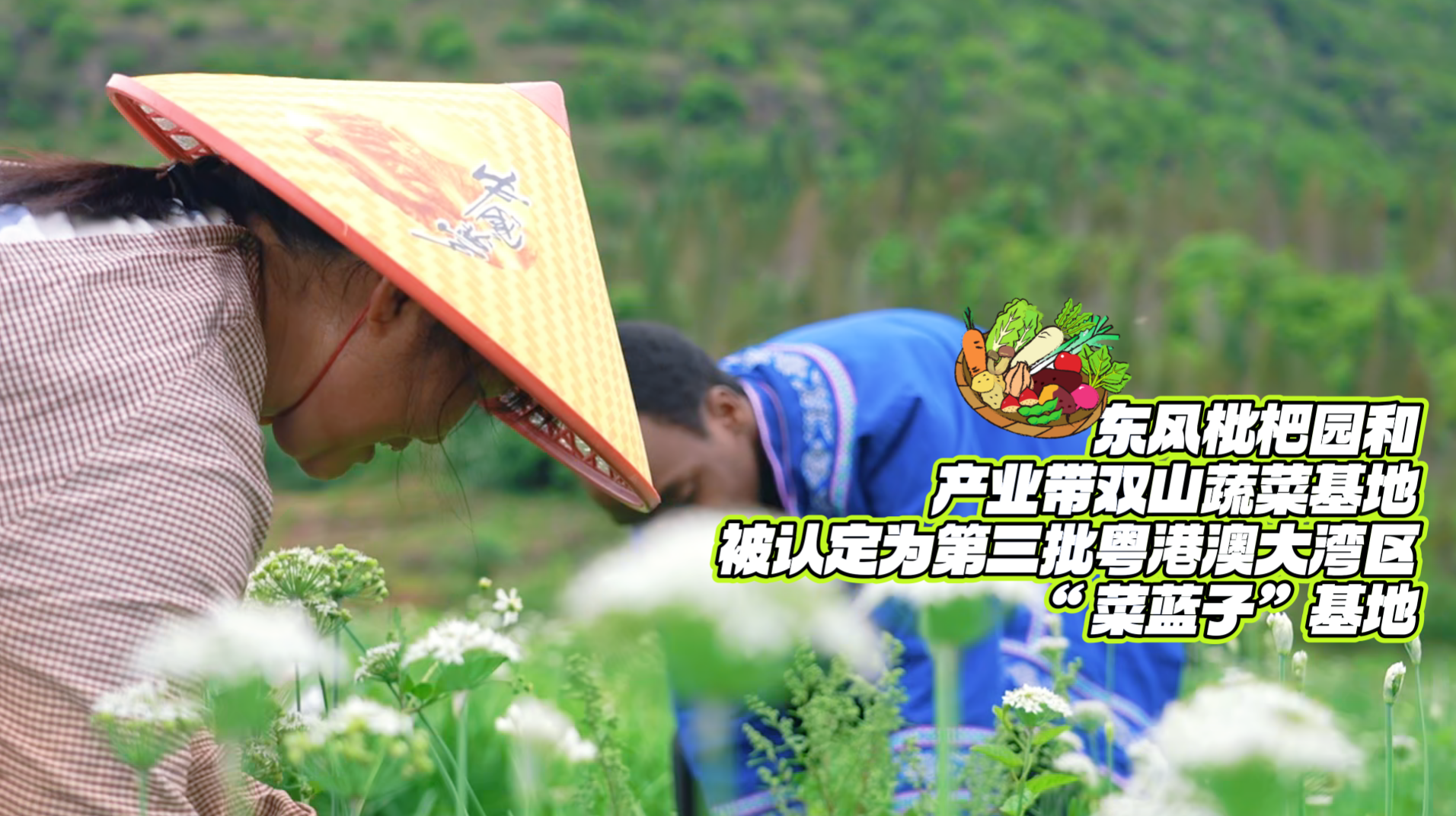 
空军特色医学中心黄牛代挂号电话票贩子号贩子网上预约挂号,住院检查加快,非洲小哥在楼纳村当“村民”丨老外村游记