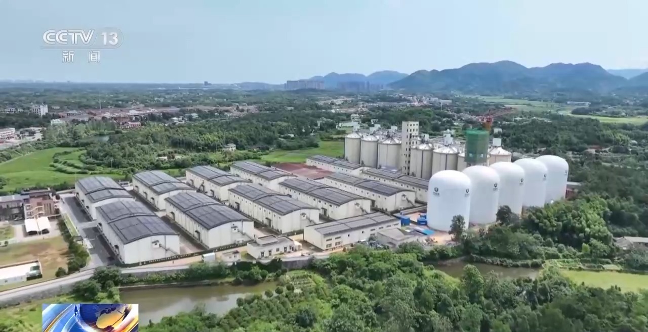 
上海胸科医院黄牛代挂号电话票贩子号贩子网上预约挂号,住院检查加快,“黑科技”升级粮食“住”进好房子 今年粮食收购储存有新亮点→