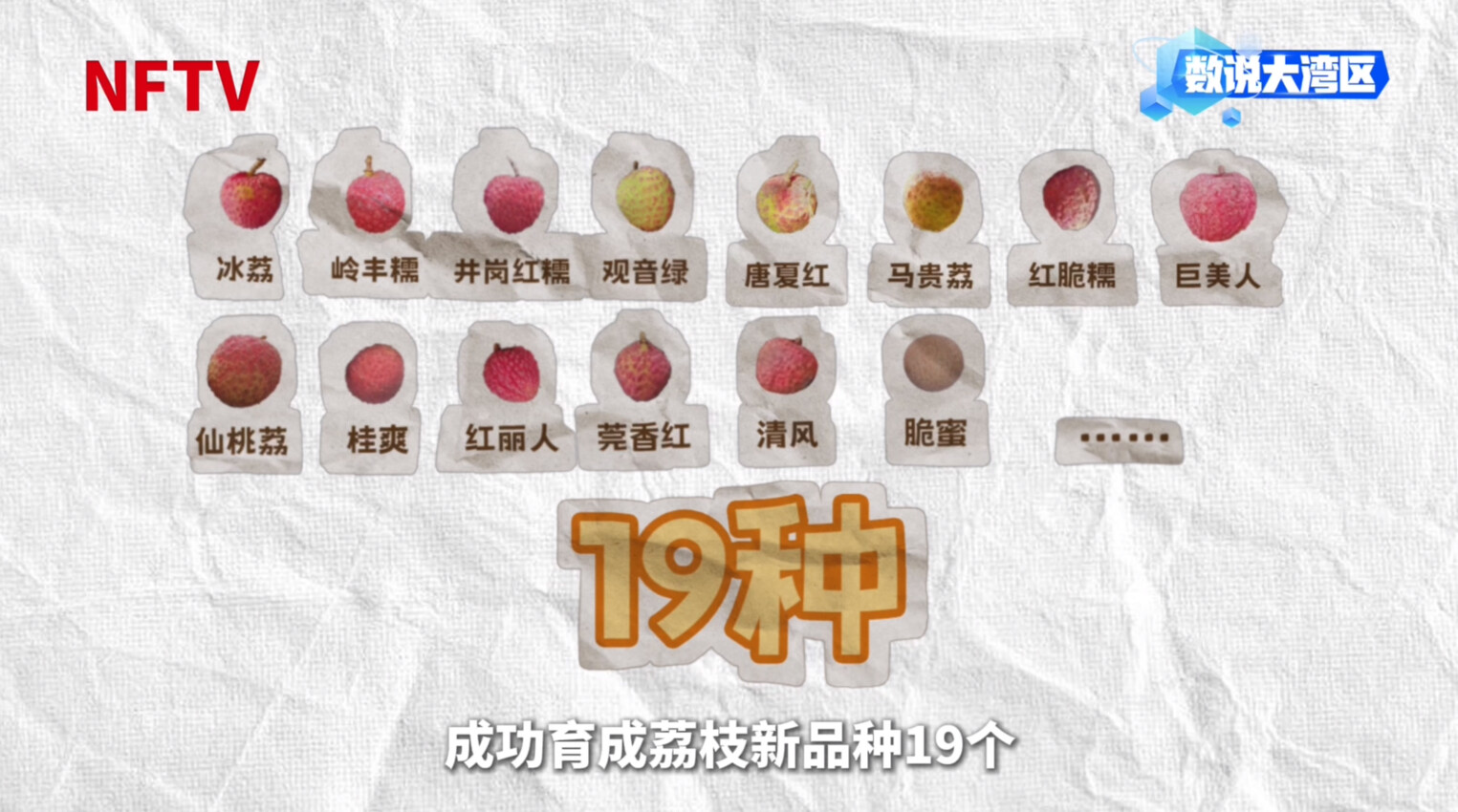 
山东大学齐鲁医院黄牛代挂号电话票贩子号贩子网上预约挂号,住院检查加快,大湾区年产29万吨背后的给“荔”科技｜数说大湾区