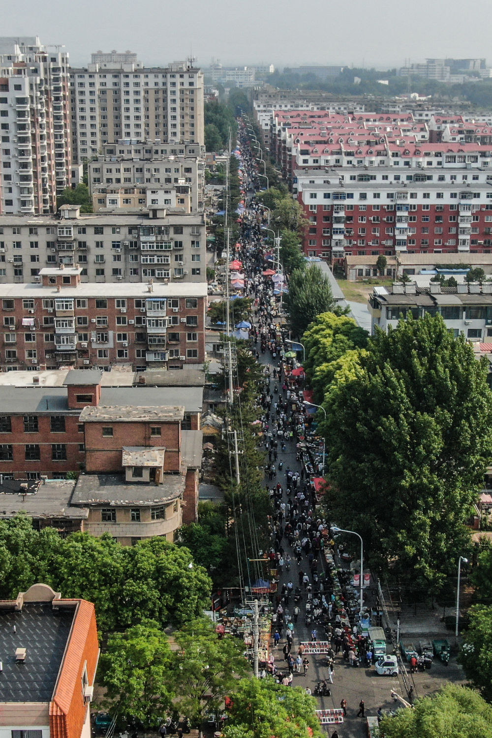 
南京脑科医院黄牛代挂号电话票贩子号贩子网上预约挂号,住院检查加快,解码文化自信的城市样本｜锦绣之州物华新——解码“山海福地”锦州的文化自信样本