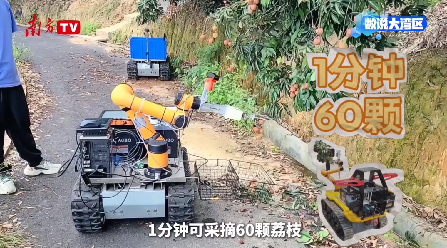 
山东大学齐鲁医院黄牛代挂号电话票贩子号贩子网上预约挂号,住院检查加快,大湾区年产29万吨背后的给“荔”科技｜数说大湾区
