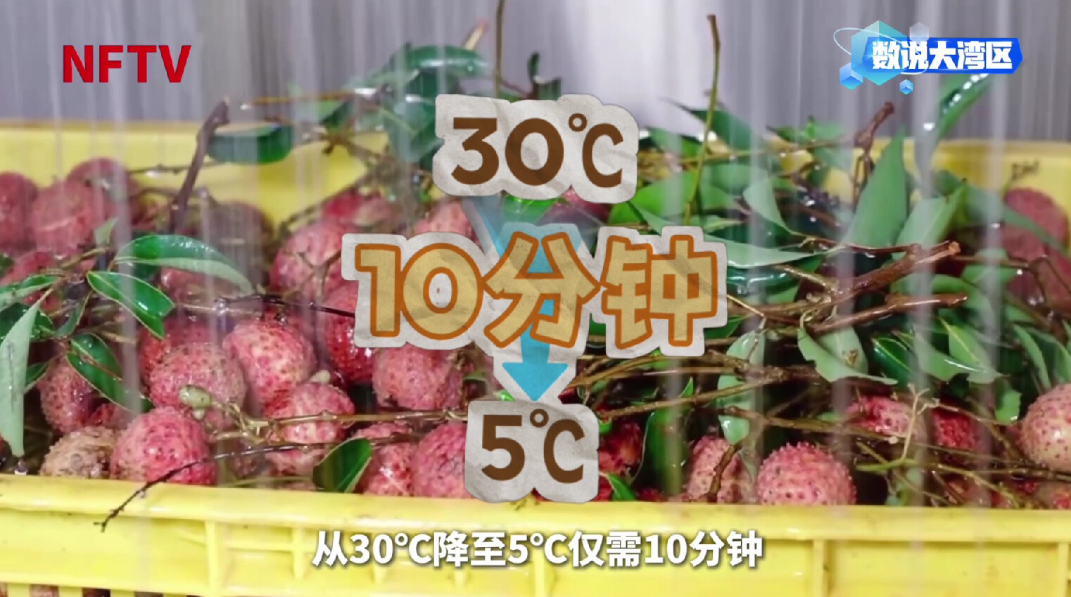 
山东大学齐鲁医院黄牛代挂号电话票贩子号贩子网上预约挂号,住院检查加快,大湾区年产29万吨背后的给“荔”科技｜数说大湾区