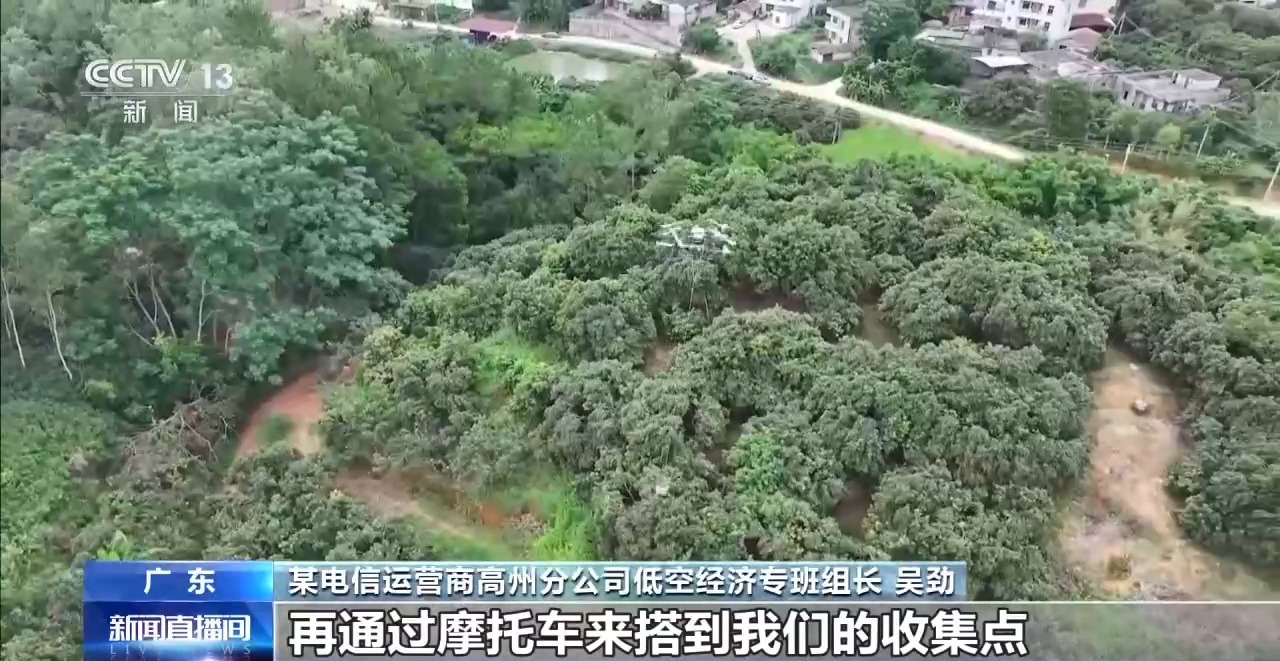 
上海眼耳鼻喉科医院黄牛代挂号电话票贩子号贩子网上预约挂号,住院检查加快,从岭南枝头到全球餐桌 广东荔枝解锁“四季鲜”密码→