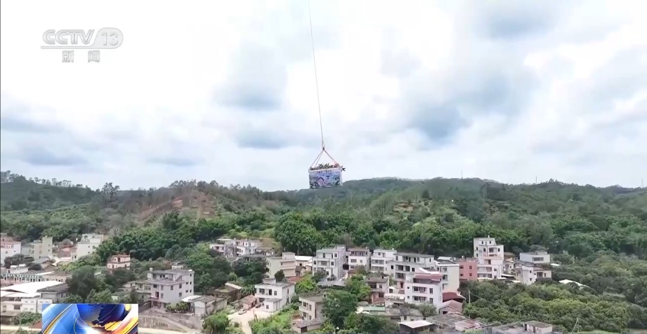 
上海眼耳鼻喉科医院黄牛代挂号电话票贩子号贩子网上预约挂号,住院检查加快,从岭南枝头到全球餐桌 广东荔枝解锁“四季鲜”密码→