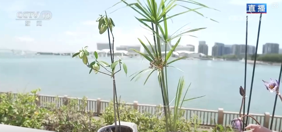 
东直门医院黄牛代挂号电话票贩子号贩子网上预约挂号,住院检查加快,生态画卷展新“颜” 增“绿”生“金”点亮多样消费新场景