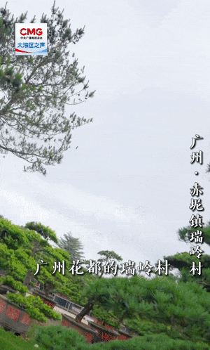 
南京儿童医院黄牛代挂号电话票贩子号贩子网上预约挂号,住院检查加快,勇立潮头大湾区丨百年盆景村破圈记