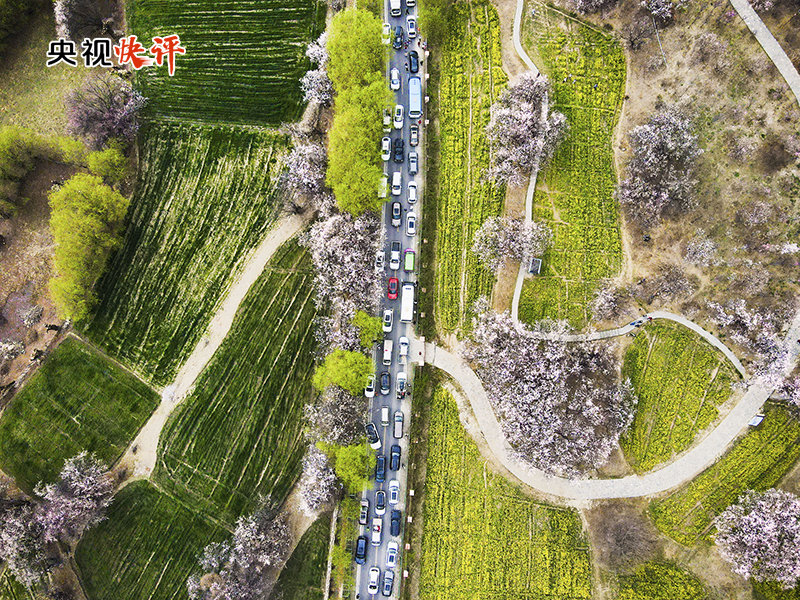 
南京军区总医院黄牛代挂号电话票贩子号贩子网上预约挂号,住院检查加快,【央视快评】切实维护好民族团结 创造更加幸福美好的生活