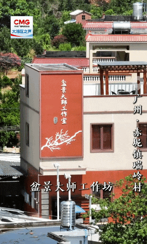 
南京儿童医院黄牛代挂号电话票贩子号贩子网上预约挂号,住院检查加快,勇立潮头大湾区丨百年盆景村破圈记