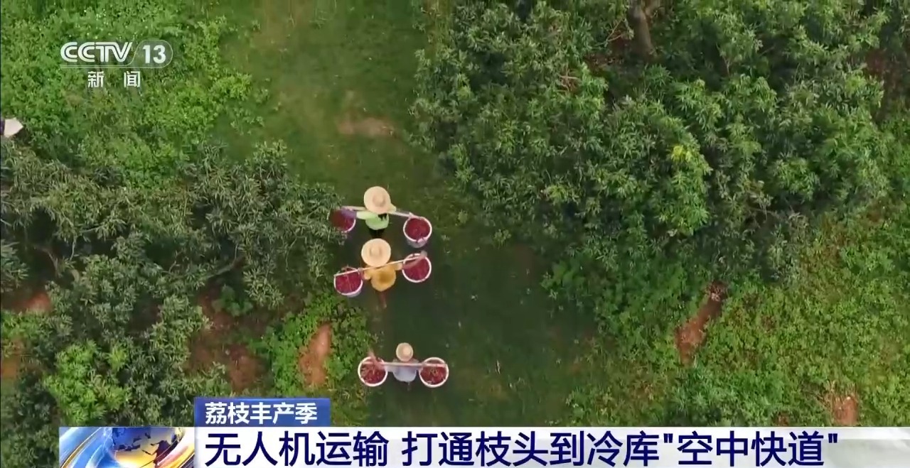 
上海眼耳鼻喉科医院黄牛代挂号电话票贩子号贩子网上预约挂号,住院检查加快,从岭南枝头到全球餐桌 广东荔枝解锁“四季鲜”密码→