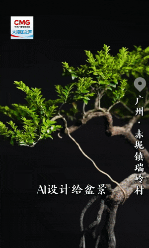 
南京儿童医院黄牛代挂号电话票贩子号贩子网上预约挂号,住院检查加快,勇立潮头大湾区丨百年盆景村破圈记