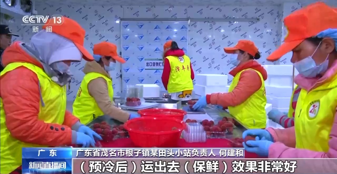 
上海眼耳鼻喉科医院黄牛代挂号电话票贩子号贩子网上预约挂号,住院检查加快,从岭南枝头到全球餐桌 广东荔枝解锁“四季鲜”密码→
