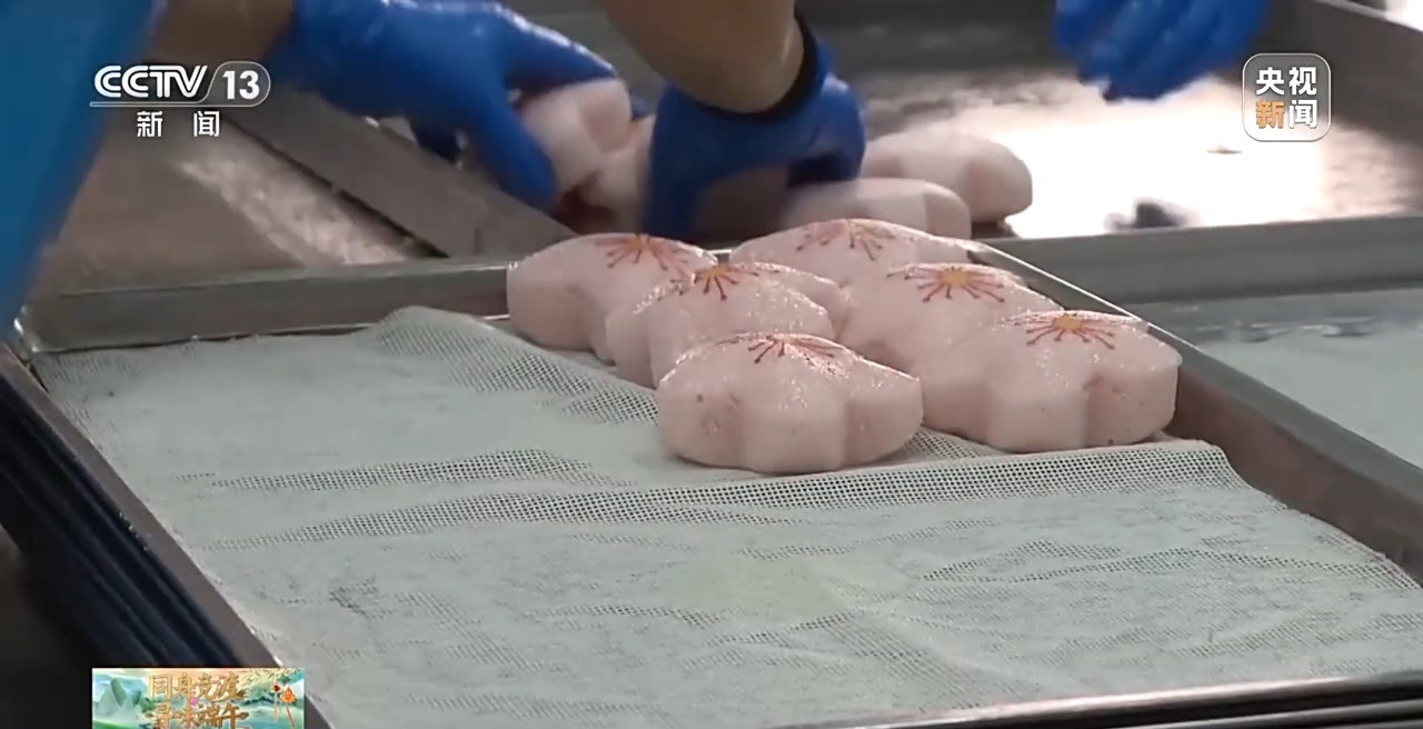 
江苏省肿瘤医院黄牛代挂号电话票贩子号贩子网上预约挂号,住院检查加快,出圈海外！端午时令商品交了不少“新朋友”