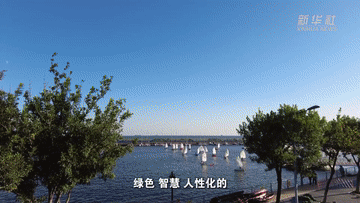 
杭州市妇幼保健院黄牛代挂号电话票贩子号贩子网上预约挂号,住院检查加快,新时代中国调研行之文化中华丨到百年开埠地码头穿越旧时光