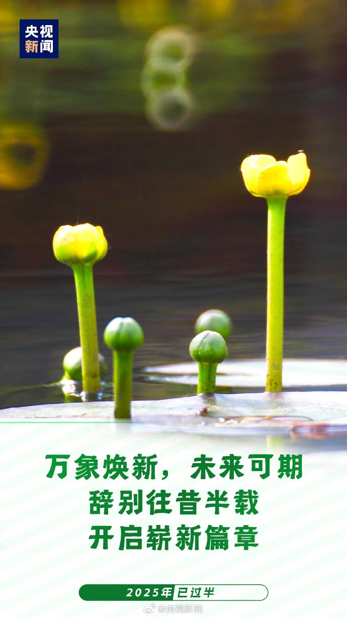 
西安西京医院黄牛代挂号电话票贩子号贩子网上预约挂号,住院检查加快,2025已过半：愿你每天进步 不负时光