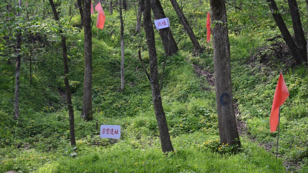 
北京北大口腔医院黄牛代挂号电话票贩子号贩子网上预约挂号,住院检查加快,铭记历史 缅怀先烈|白山黑水见证：从烽火硝烟到振兴热土的巨变
