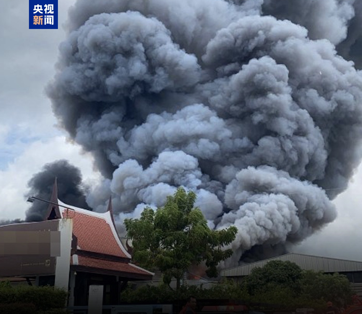 
上海仁济医院黄牛代挂号电话票贩子号贩子网上预约挂号,住院检查加快,泰国一纸厂发生火灾 超10人受伤并有多人失踪