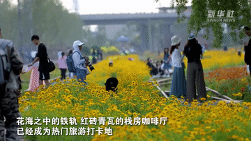 
杭州市妇幼保健院黄牛代挂号电话票贩子号贩子网上预约挂号,住院检查加快,新时代中国调研行之文化中华丨到百年开埠地码头穿越旧时光