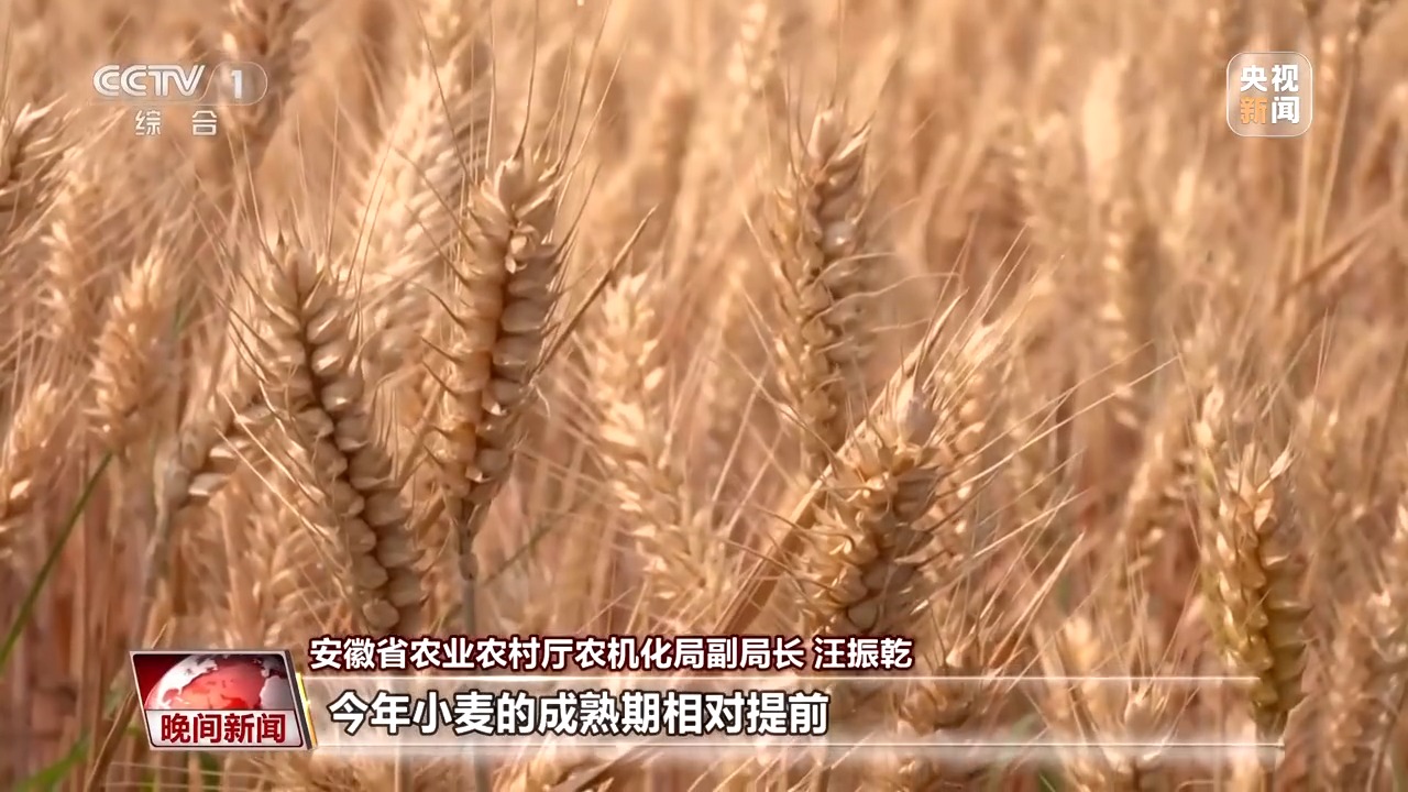 
上海新华医院黄牛代挂号电话票贩子号贩子网上预约挂号,住院检查加快,无人机送秧苗、智能“管家”巡田 解锁丰收背后的科技密码