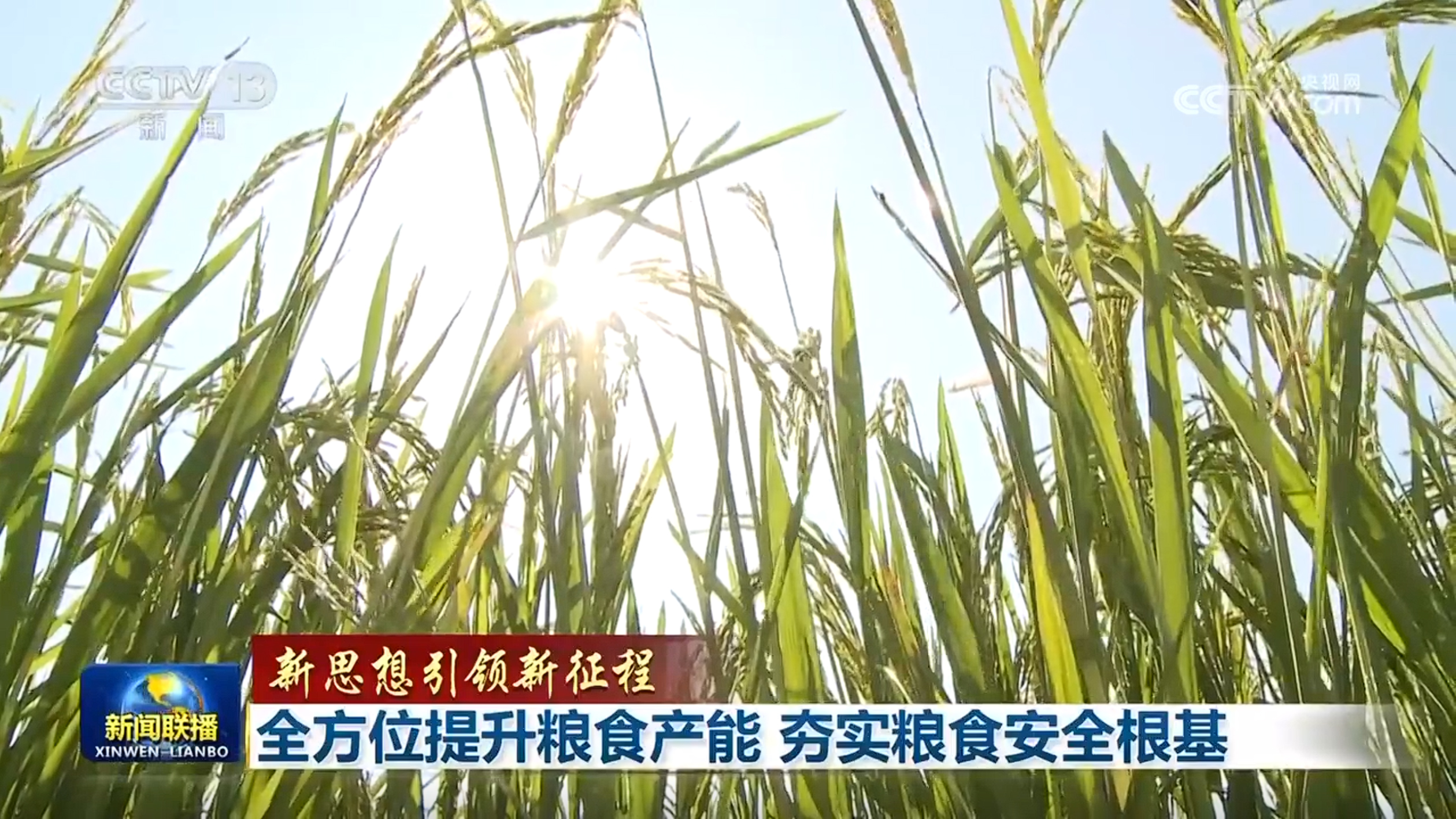 
东部战区总医院黄牛代挂号电话票贩子号贩子网上预约挂号,住院检查加快,【新思想引领新征程】全方位提升粮食产能 夯实粮食安全根基