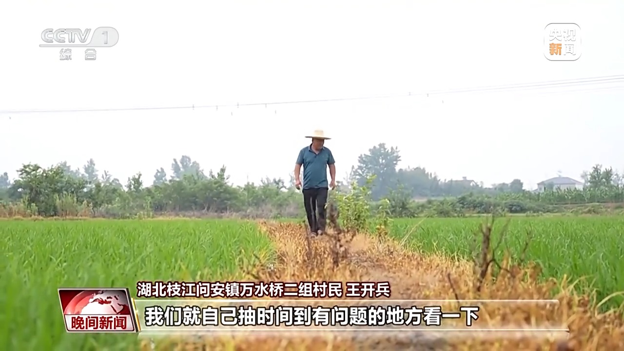 
上海新华医院黄牛代挂号电话票贩子号贩子网上预约挂号,住院检查加快,无人机送秧苗、智能“管家”巡田 解锁丰收背后的科技密码