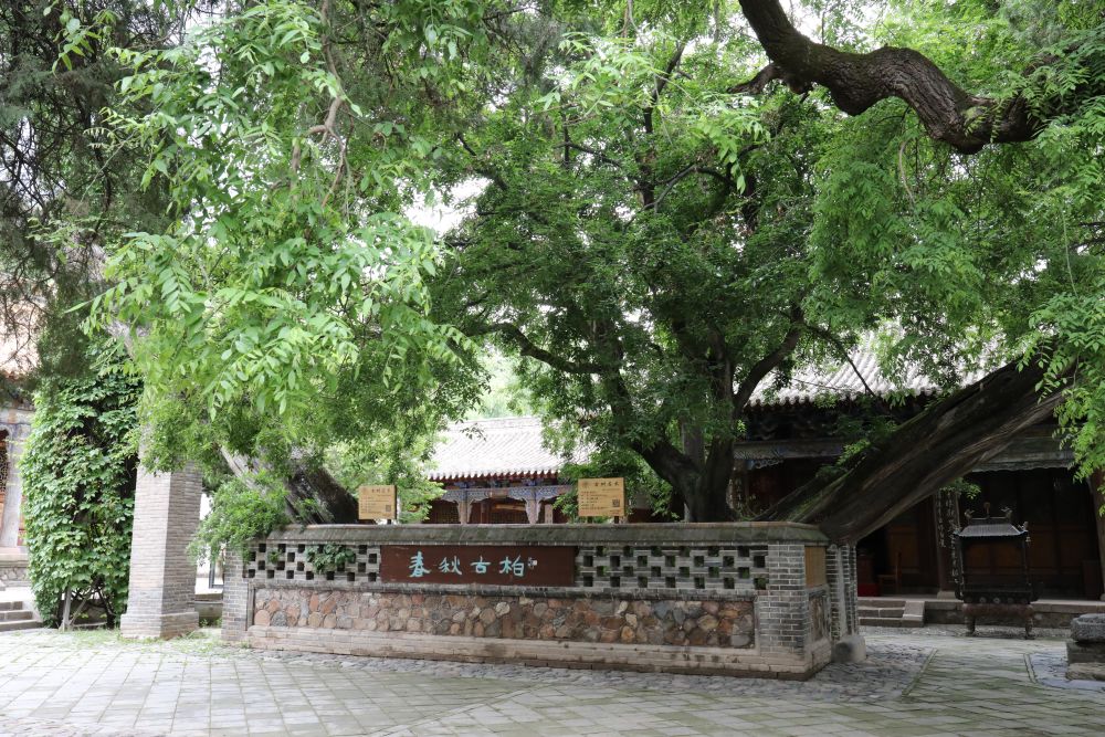 
南京金陵医院黄牛代挂号电话票贩子号贩子网上预约挂号,住院检查加快,解码文化自信的城市样本|羲皇故里赋新韵——解码甘肃天水的文化自信样本