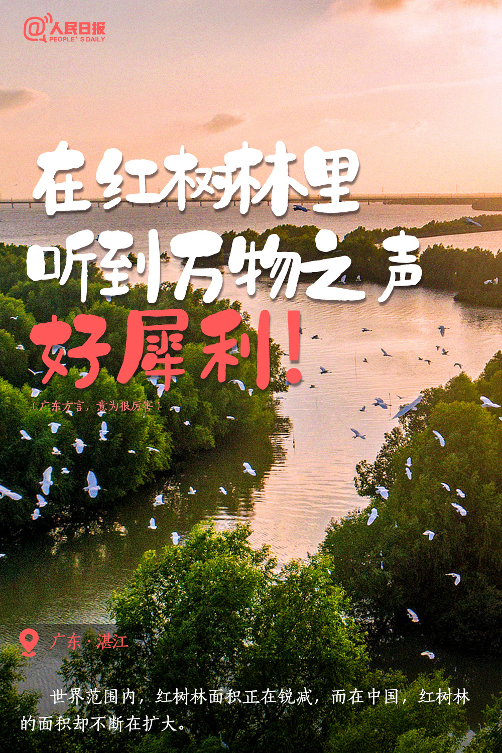 
北京302医院黄牛代挂号电话票贩子号贩子网上预约挂号,住院检查加快,顶 级 浪 漫 ！