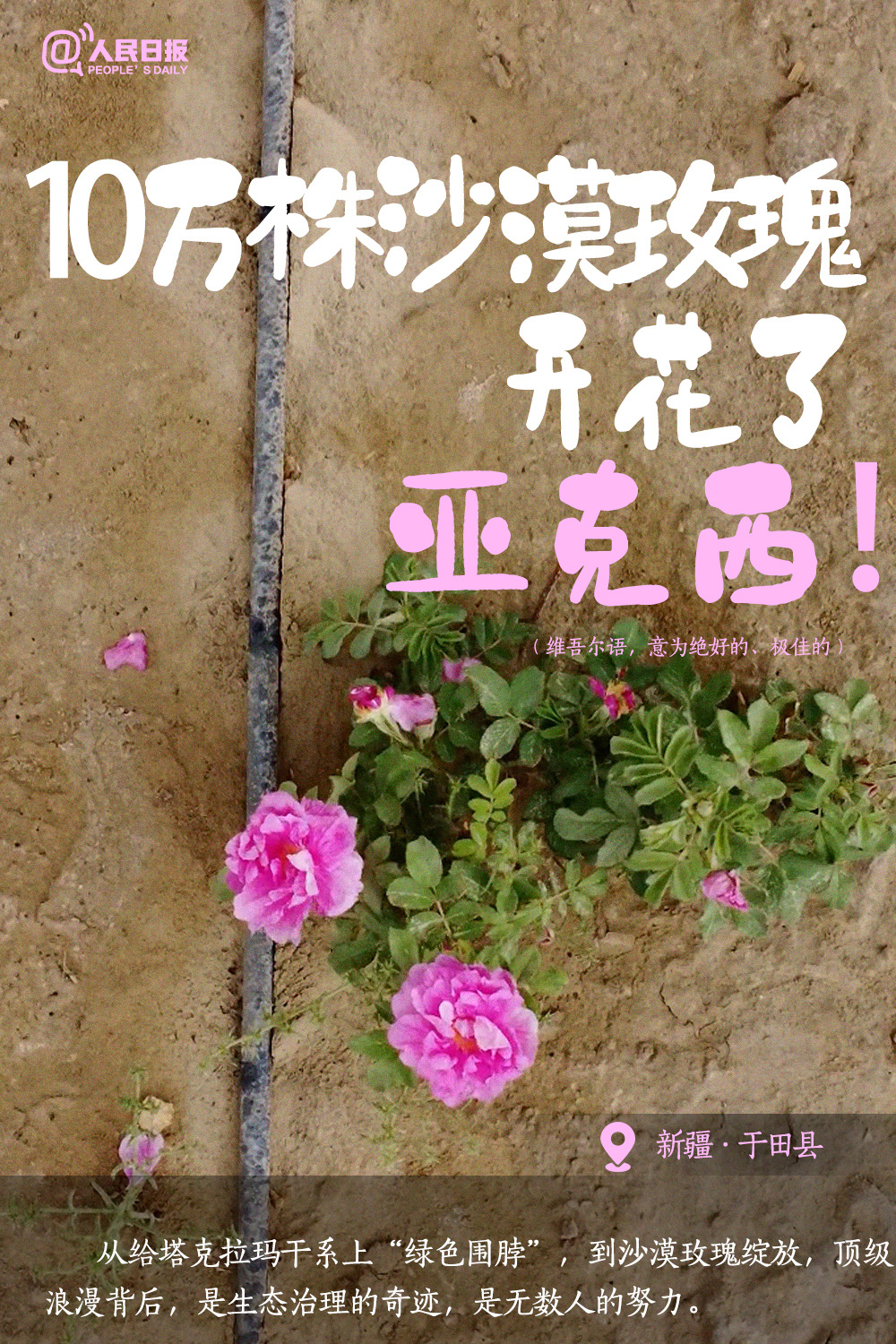 
北京302医院黄牛代挂号电话票贩子号贩子网上预约挂号,住院检查加快,顶 级 浪 漫 ！