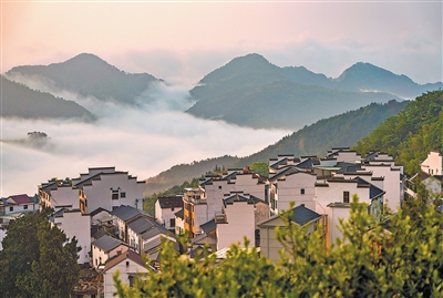 
北京安贞医院黄牛代挂号电话票贩子号贩子网上预约挂号,住院检查加快,半山晓晨光  云海沁花香（寻找最美乡村·百照村）