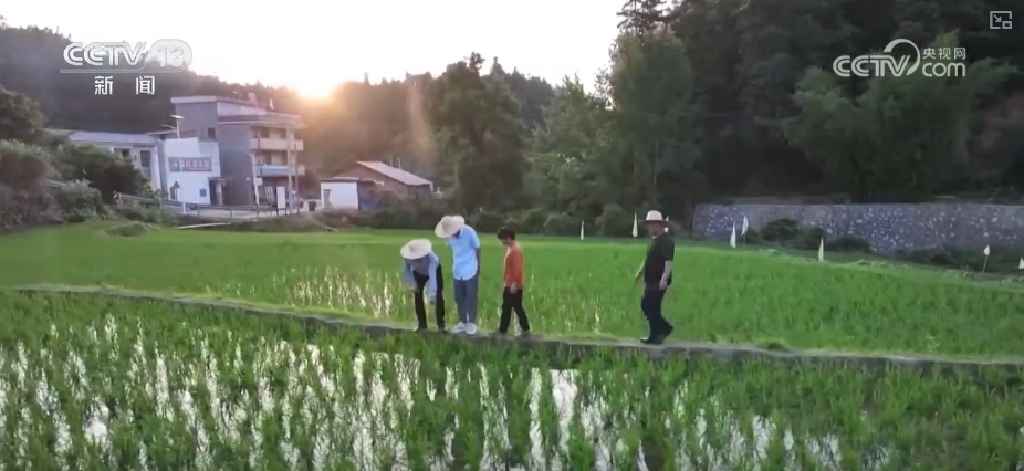 
沈阳各大医院黄牛代挂号电话票贩子号贩子网上预约挂号,住院检查加快,农业“大脑”护航“三夏”跑出加速度 紧盯产粮目标端牢中国人自己饭碗