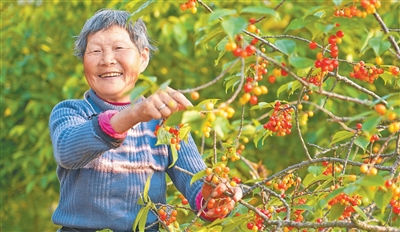 
北京安贞医院黄牛代挂号电话票贩子号贩子网上预约挂号,住院检查加快,半山晓晨光  云海沁花香（寻找最美乡村·百照村）