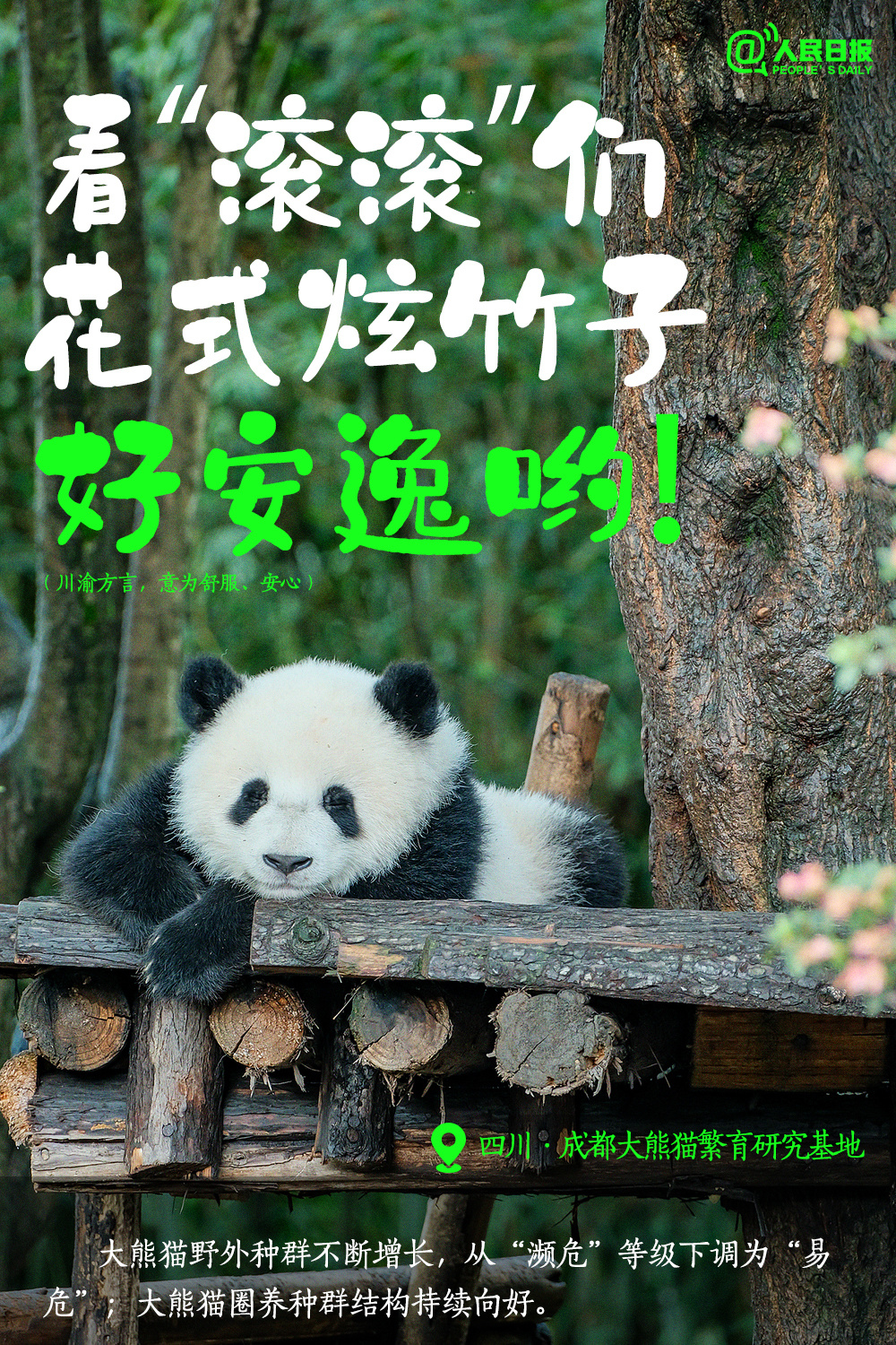 
北京302医院黄牛代挂号电话票贩子号贩子网上预约挂号,住院检查加快,顶 级 浪 漫 ！