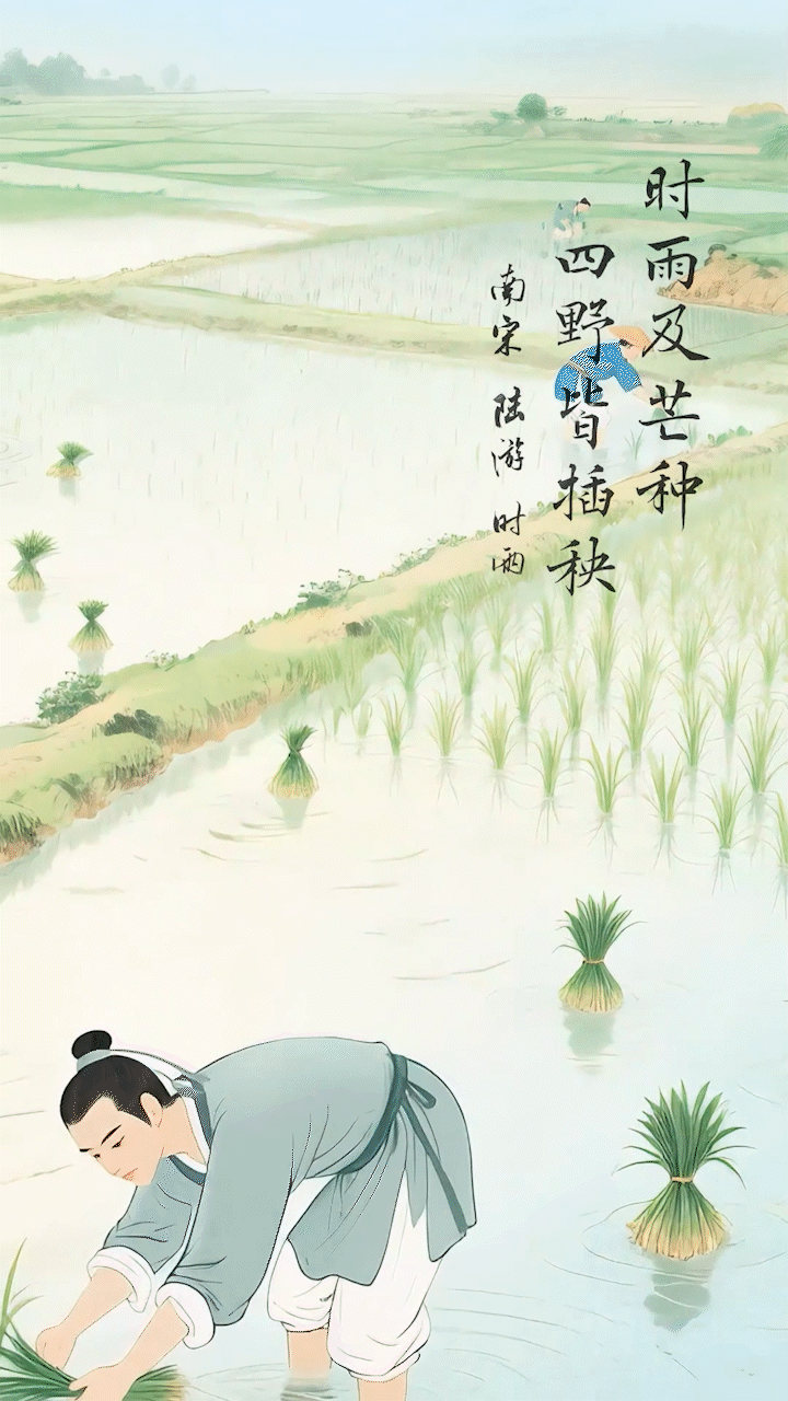 
上海眼耳鼻喉科医院黄牛代挂号电话票贩子号贩子网上预约挂号,住院检查加快,文化中国行•人间好时节｜芒种：麦浪鎏金夏正浓