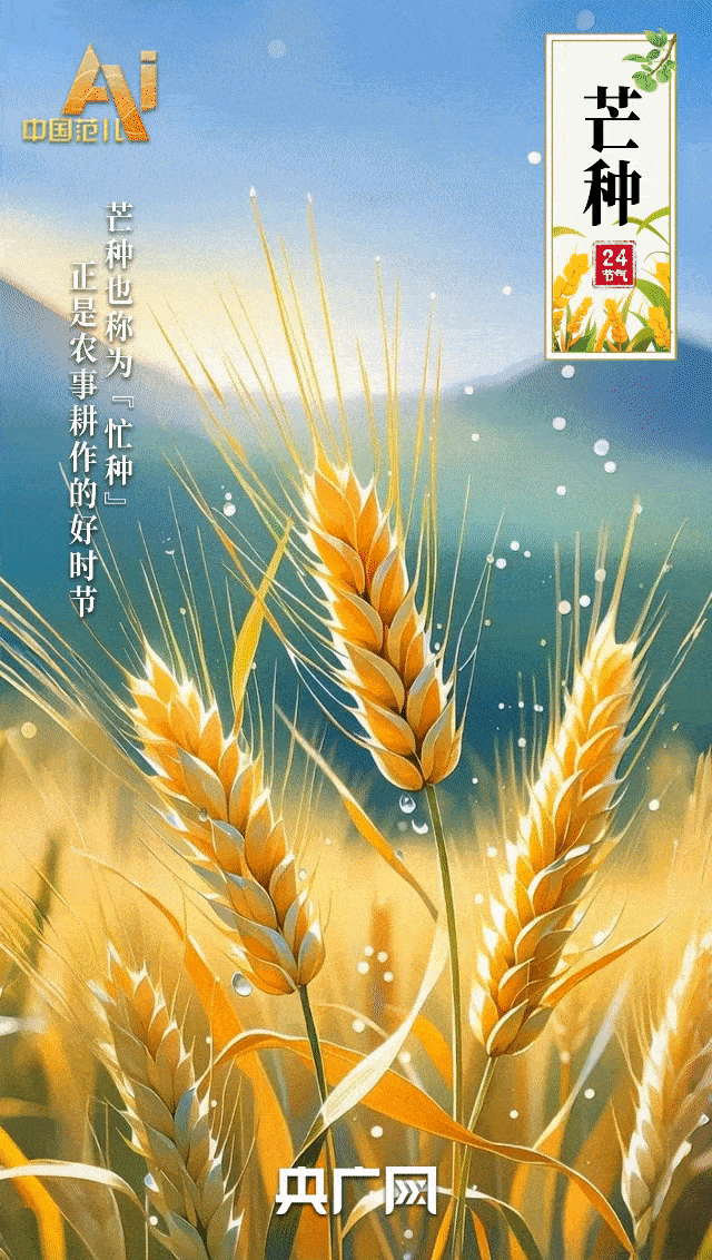 
首都医科大学附属北京口腔医院黄牛代挂号电话票贩子号贩子网上预约挂号,住院检查加快,节气里的中国智慧｜“芒”有所获，“种”有所得