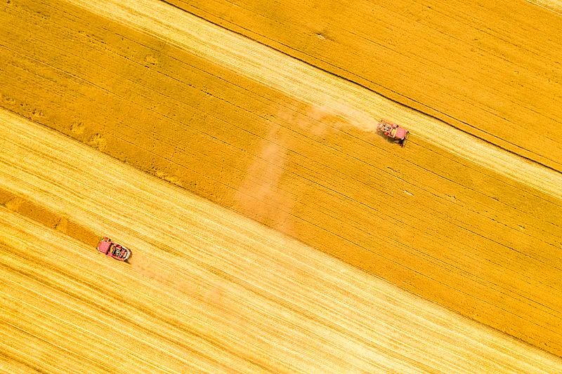 
北大第一医院黄牛代挂号电话票贩子号贩子网上预约挂号,住院检查加快,今日17时57分，迎芒种