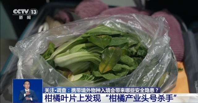 
山东大学齐鲁医院黄牛代挂号电话票贩子号贩子网上预约挂号,住院检查加快,@铲屎官们 养“异宠”或危害国家安全 这些行为违法了