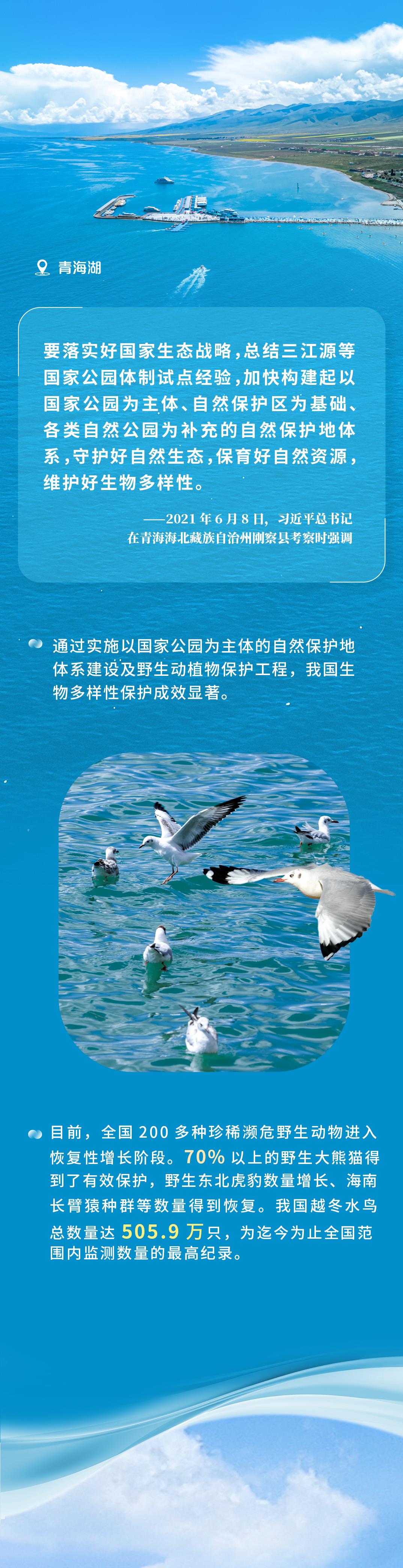 
北京同仁医院黄牛代挂号电话票贩子号贩子网上预约挂号,住院检查加快,近观“两山”丨多彩中国