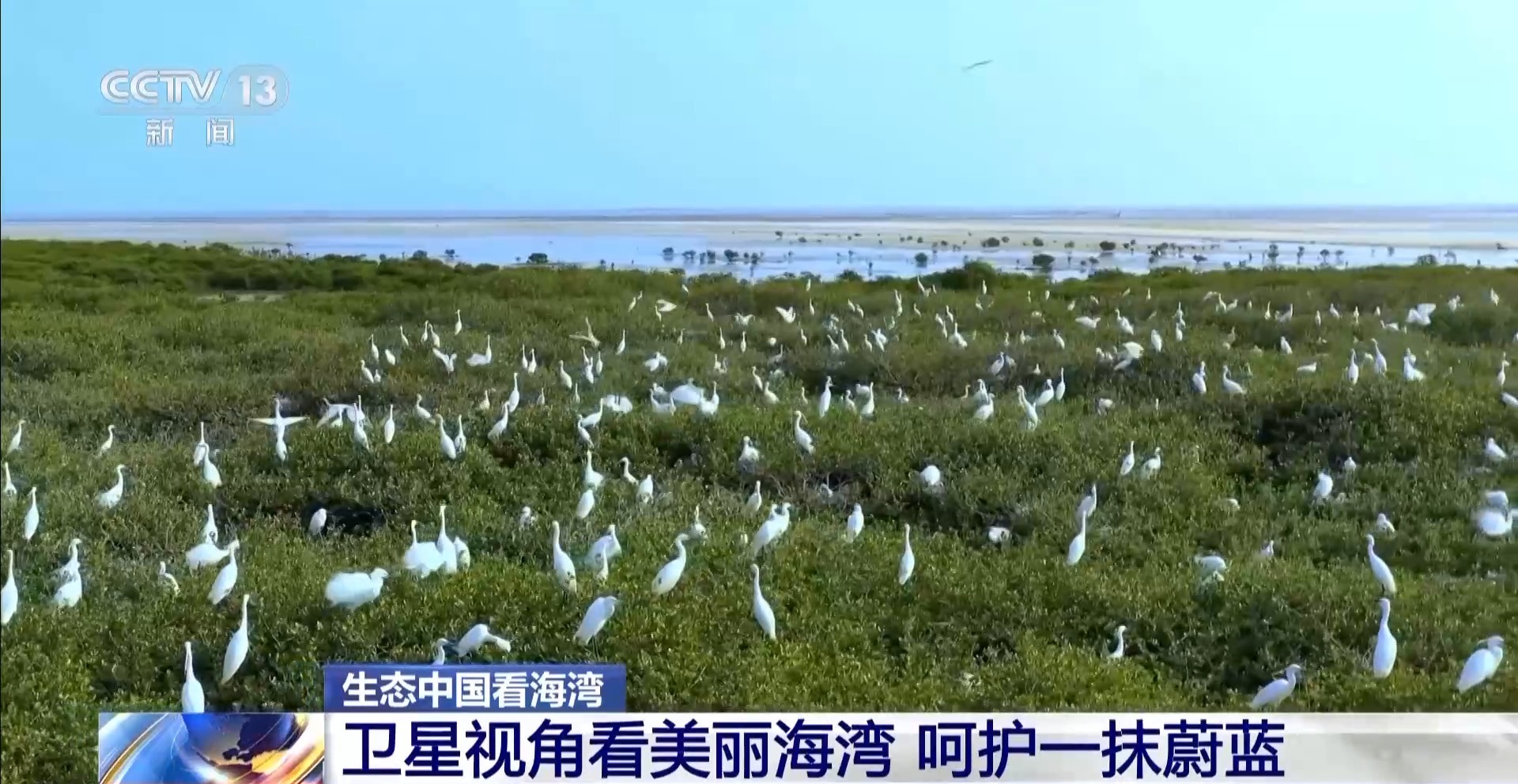 
北大医院黄牛代挂号电话票贩子号贩子网上预约挂号,住院检查加快,海湾“变美”关键在哪？看中国方案呵护一抹蔚蓝