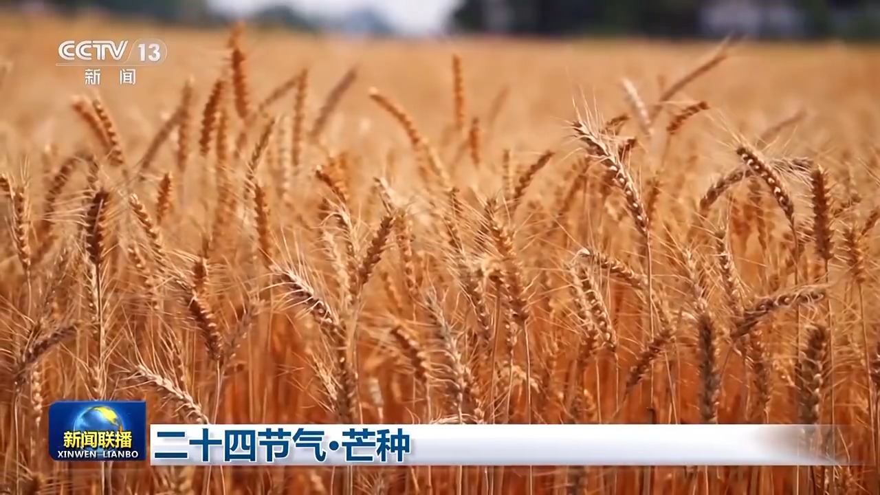 
首都医科大学附属儿童医院黄牛代挂号电话票贩子号贩子网上预约挂号,住院检查加快,文化中国行丨二十四节气·芒种 “芒”有所获 “种”有所得