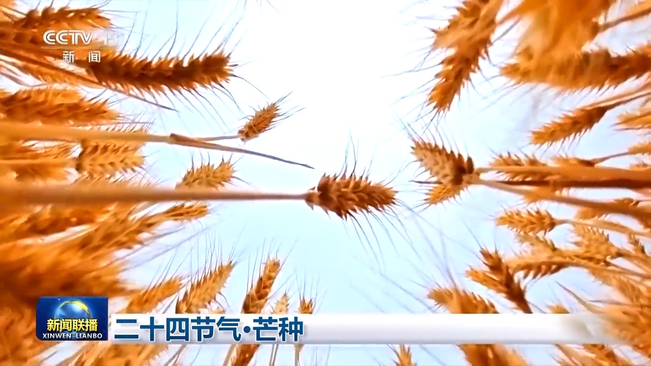 
首都医科大学附属儿童医院黄牛代挂号电话票贩子号贩子网上预约挂号,住院检查加快,文化中国行丨二十四节气·芒种 “芒”有所获 “种”有所得