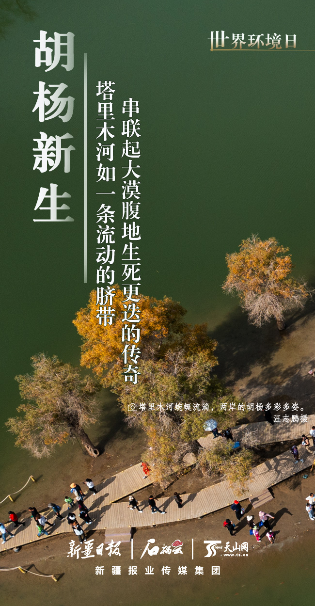 
北京儿童医院黄牛代挂号电话票贩子号贩子网上预约挂号,住院检查加快,世界环境日丨看新疆的“绿色”答卷