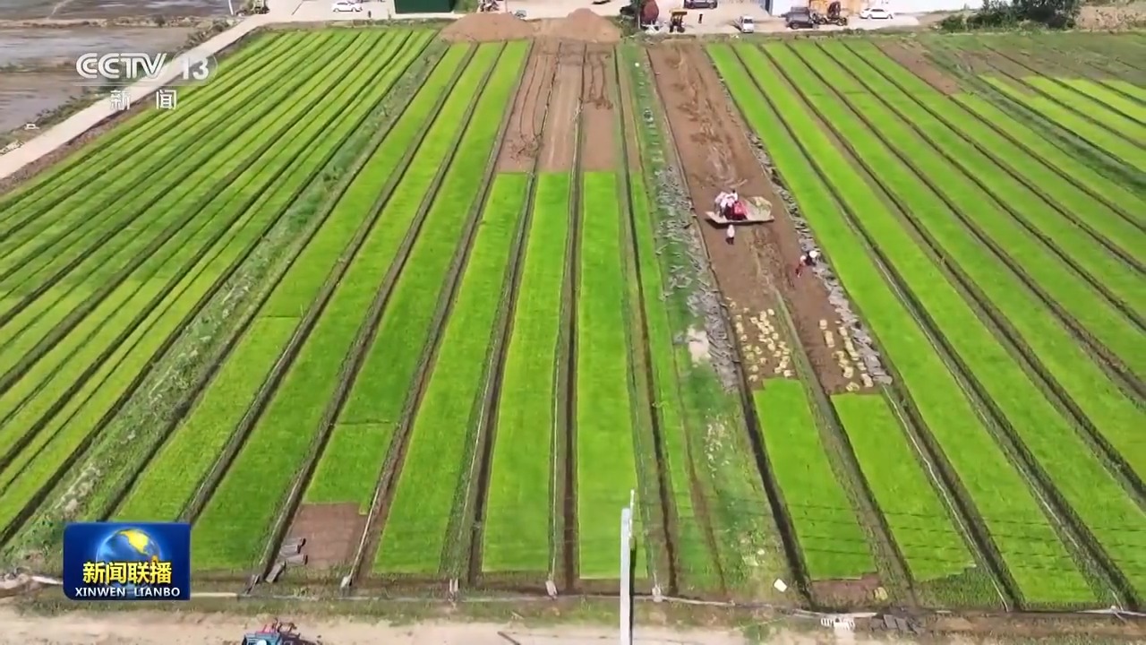 
江苏省人民医院黄牛代挂号电话票贩子号贩子网上预约挂号,住院检查加快,全国夏粮小麦收获进度过半 为全年丰产丰收打好基础