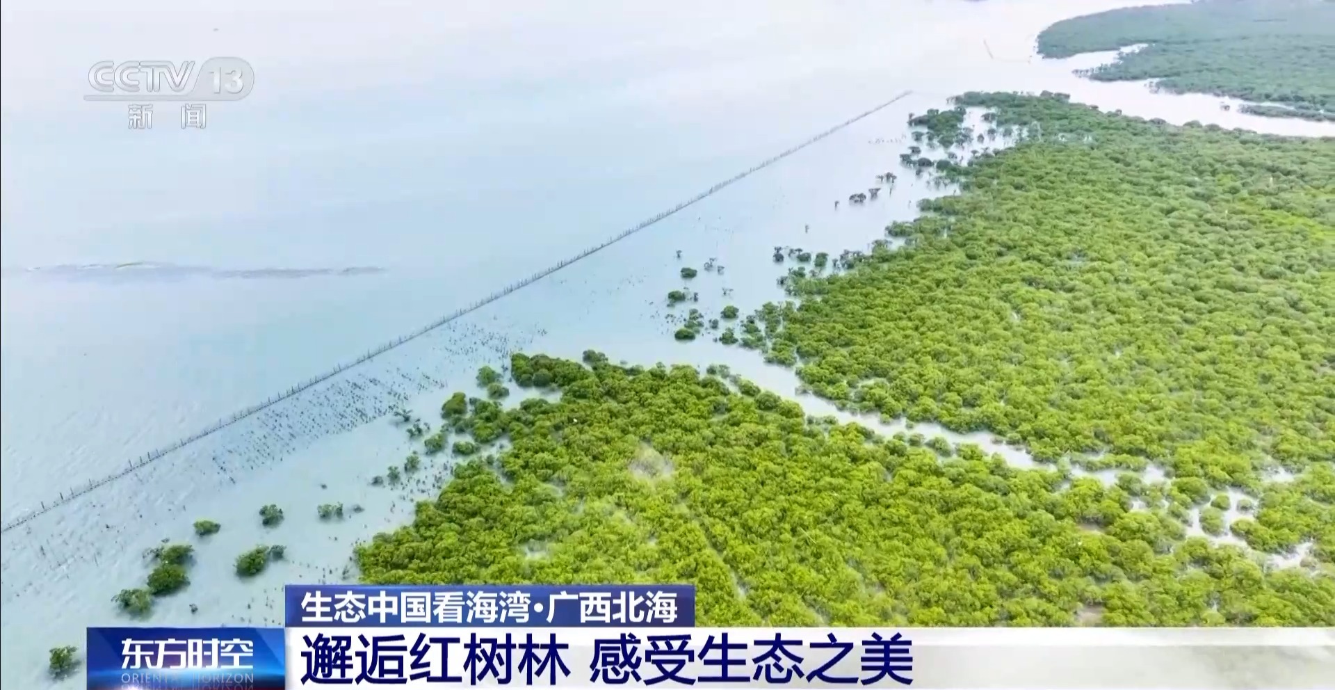 
北大医院黄牛代挂号电话票贩子号贩子网上预约挂号,住院检查加快,海湾“变美”关键在哪？看中国方案呵护一抹蔚蓝