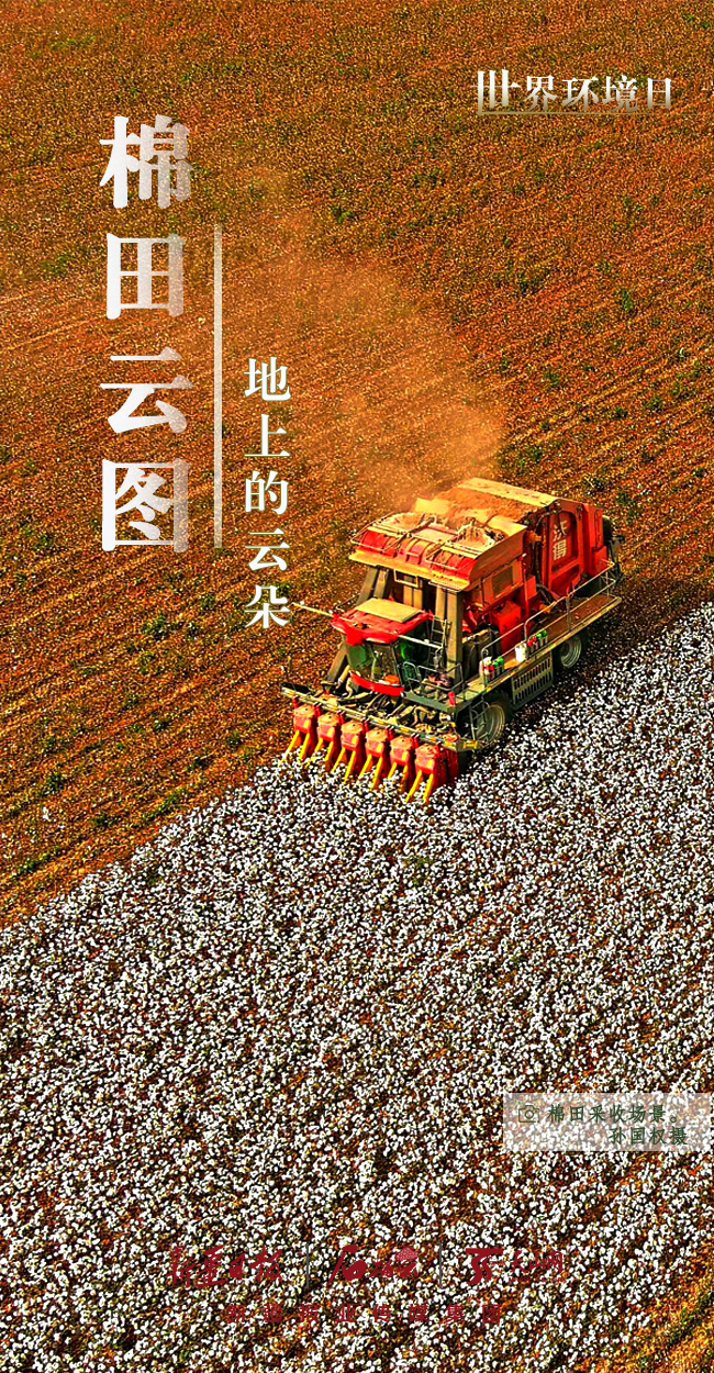 
北京儿童医院黄牛代挂号电话票贩子号贩子网上预约挂号,住院检查加快,世界环境日丨看新疆的“绿色”答卷