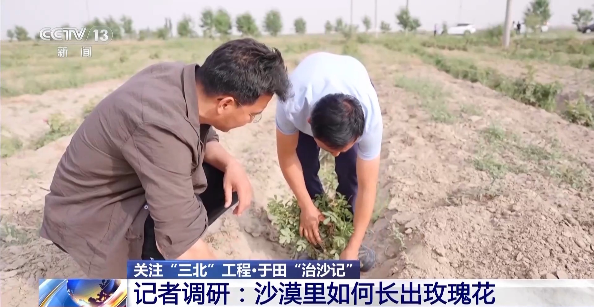 
北京301医院黄牛代挂号电话票贩子号贩子网上预约挂号,住院检查加快,“点沙成金” 玫瑰征服塔克拉玛干 村民日入千元