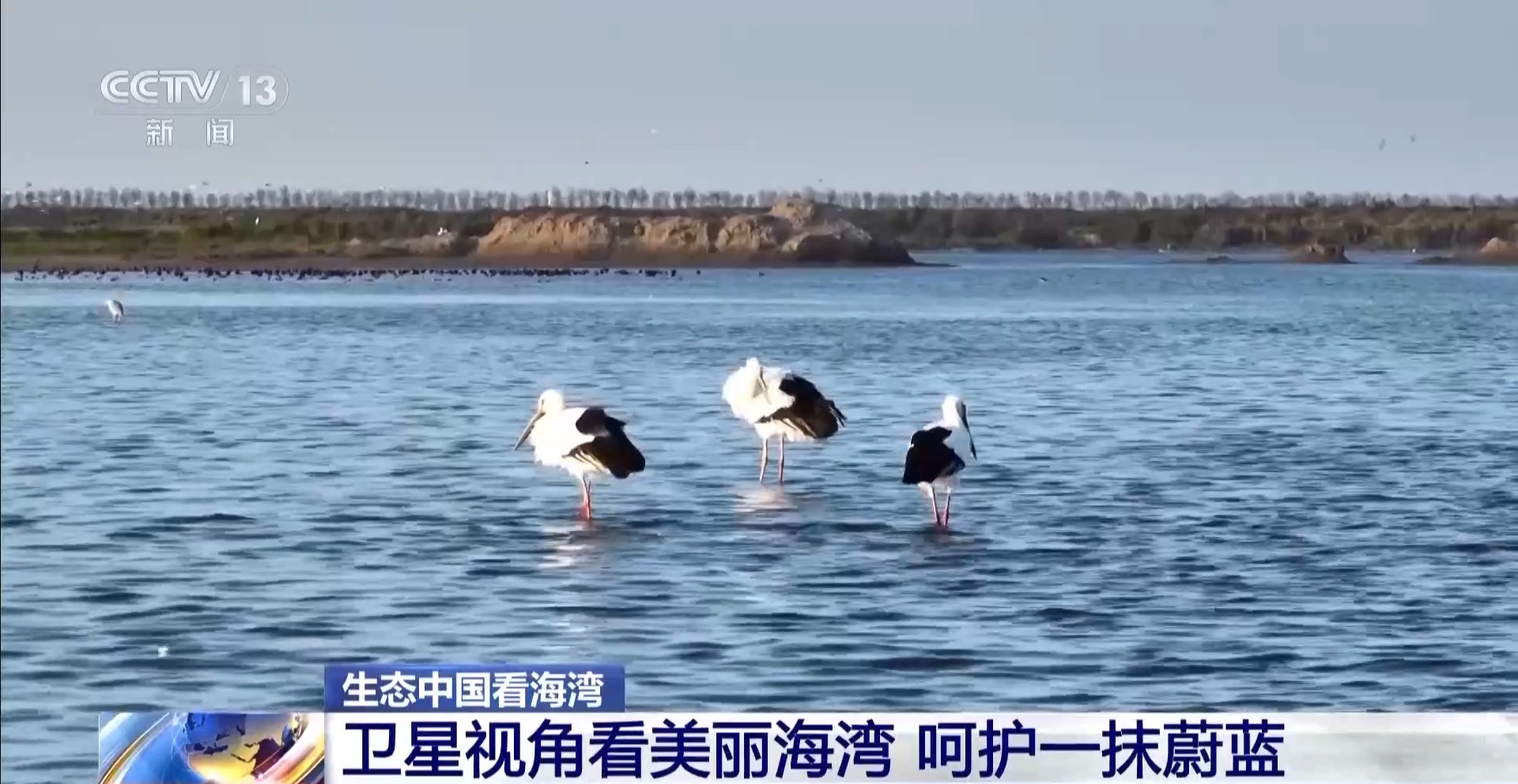 
北大医院黄牛代挂号电话票贩子号贩子网上预约挂号,住院检查加快,海湾“变美”关键在哪？看中国方案呵护一抹蔚蓝